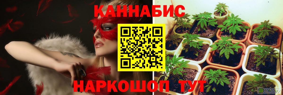 МАРИХУАНА планчик  МАРИХУАНА планчик  Рязань  Бошки марихуана конопля  Вход с VPN 